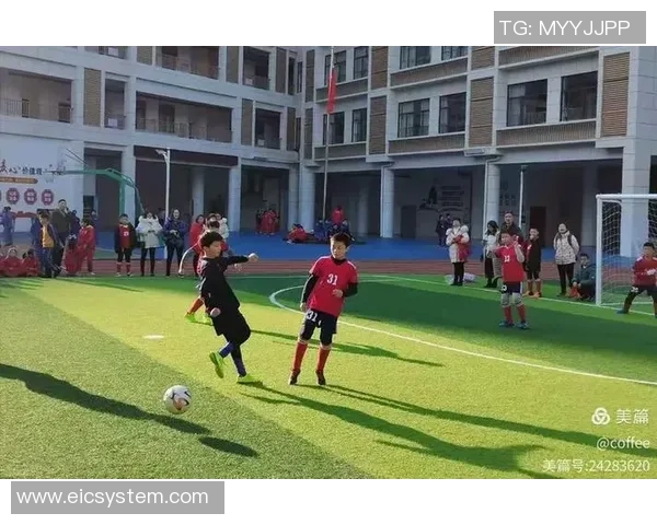 啄木鸟足球：在绿茵场上展翅翱翔的勇士与智慧的结合