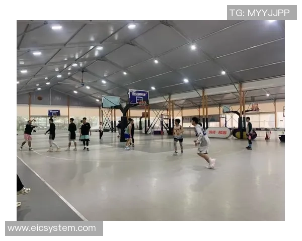 在阳光明媚的院子里畅享篮球的乐趣与友谊的时光 在阳光明媚的院子里畅享篮球的乐趣与友谊的时光